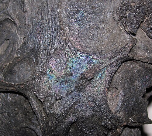 Igneous & Sedimentary Rocks
