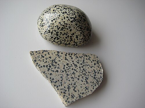 Dalmatian Jasper