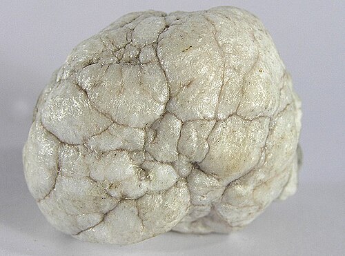 White Howlite