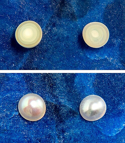 Natural Pearl (Moti) for Jyotish