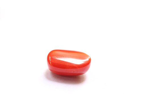 Red Coral (Moonga)