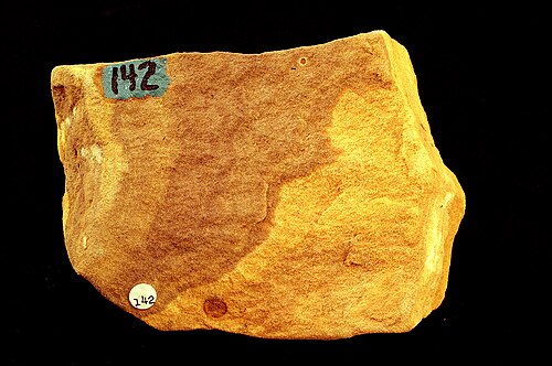 Sandstone Specimen