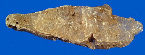 Selenite Crystal